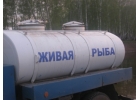 Свежая, живая рыба. Продажа толстолобика.